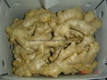  Air dried Ginger