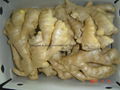  Air dried Ginger 15