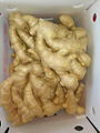  Air dried Ginger 18