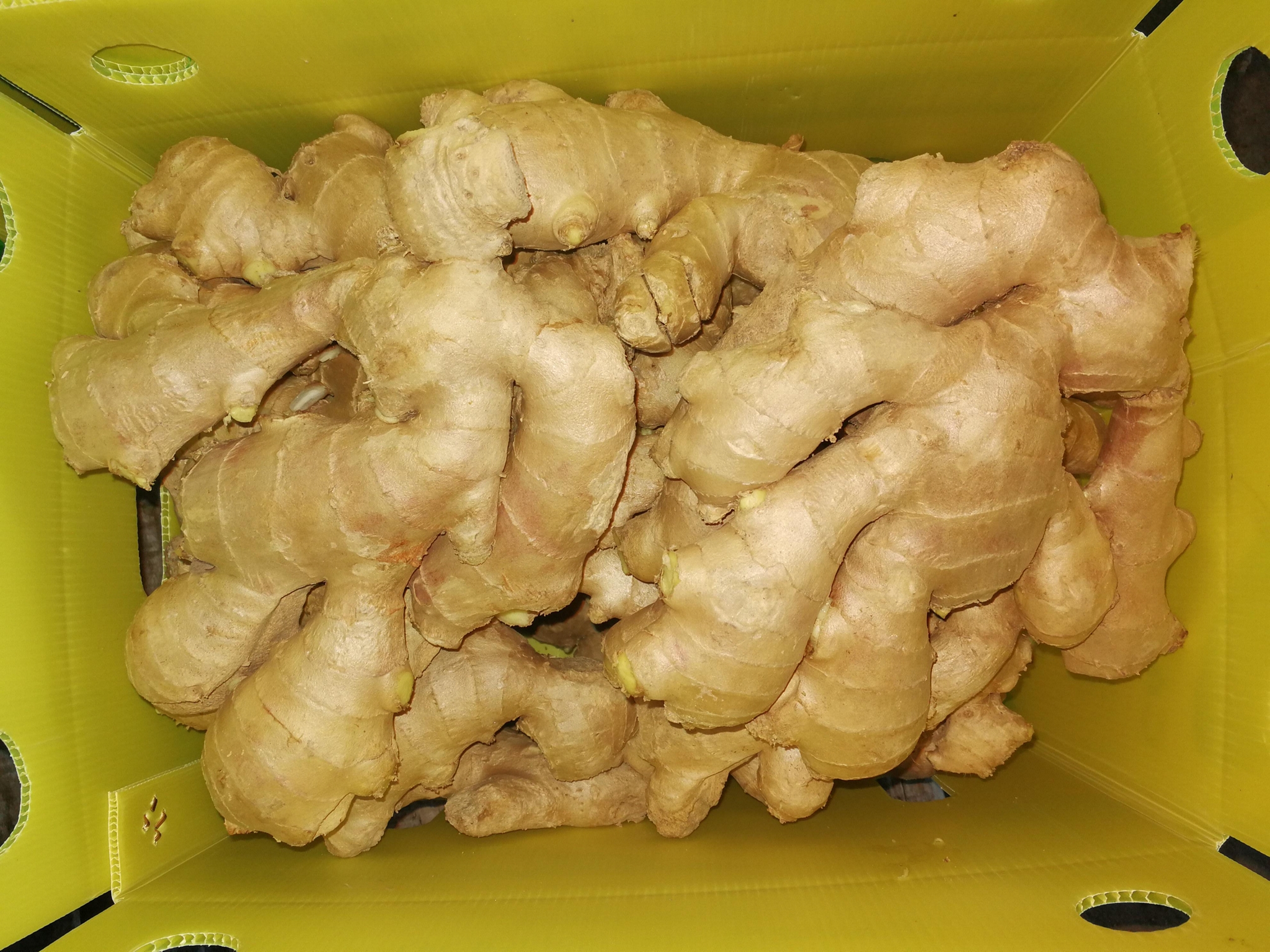 2021 FRESH AIR DRIED GINGER - 250g+ - A-BEST (China Manufacturer