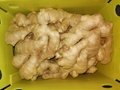 2022 AIR DRIED GINGER 15