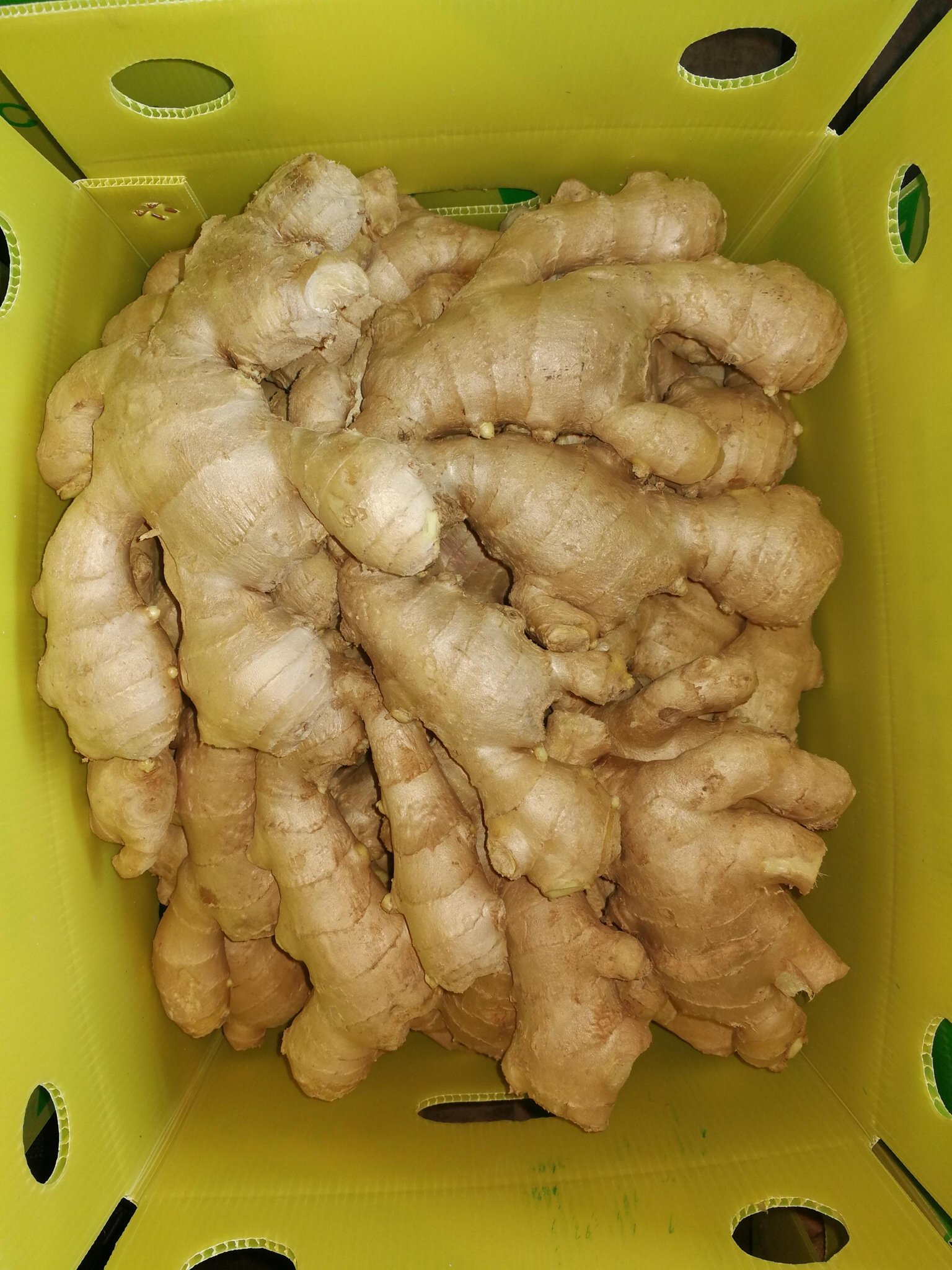 2022 AIR DRIED GINGER 16