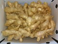 2024 AIR DRIED GINGER