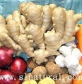 Air dried Ginger