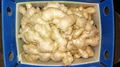 2024 Air dried fresh ginger 6