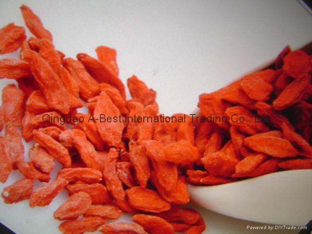 Goji berry 3