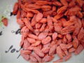 Goji berry （Lowe pesticides） 4