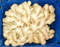2024 Air dried fresh ginger