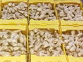 2024 NEW CROP FRESH JUMBO GINGER 10