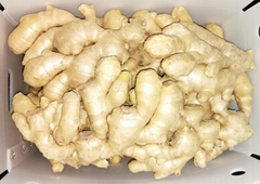 2025 Air dried ginger (Hot Product - 1*)