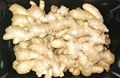 Air dry ginger 2
