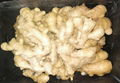 FRESH AIR DRIED GINGER