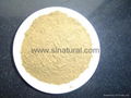 Ginseng Root Extract 1