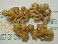 2024 GAP FRESH AIR DRIED GINGER 3