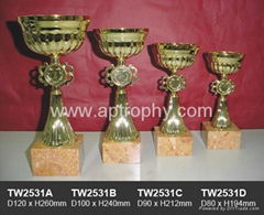 Trophy-TW2531