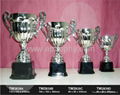 Trophy-TW2839 1