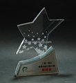 Acrylic Trophy-AA156