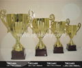 Trophy-TW2348