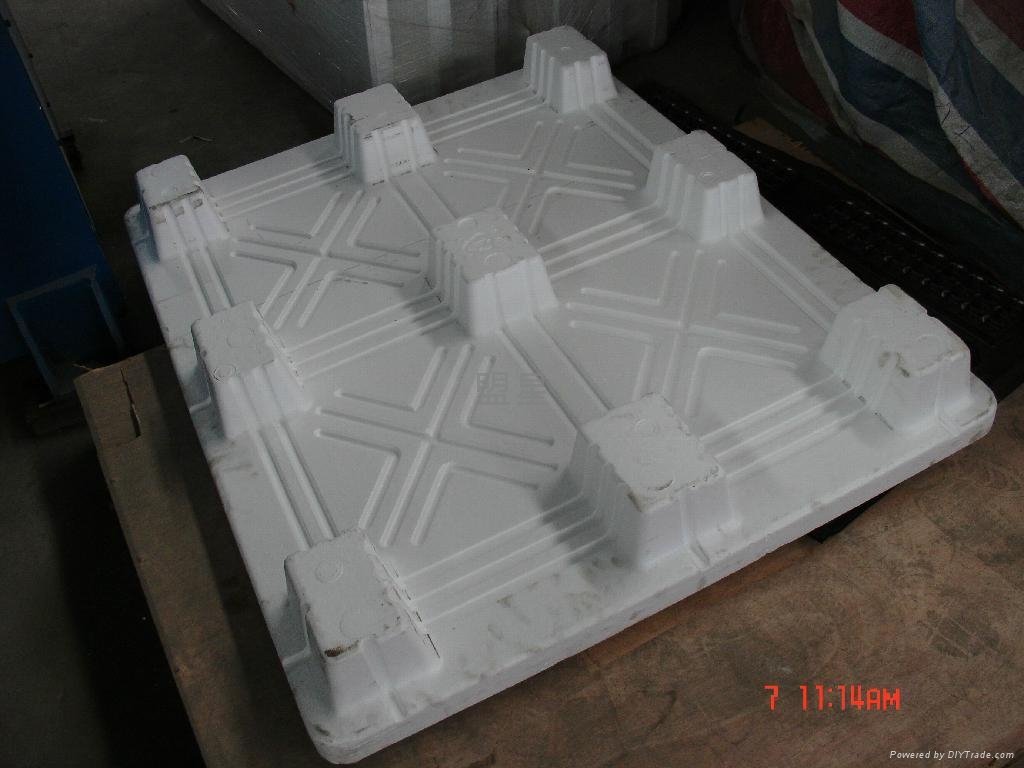 Plast Pallet Machine ( EPS coated ) 