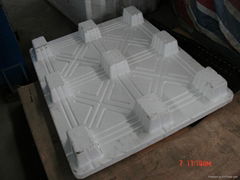 Plast Pallet Machine ( EPS coated )