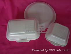 foam lunch box production line  2