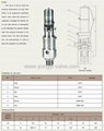 Air Compressor Safety Valve 2