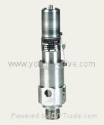 Air Compressor Safety Valve