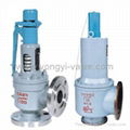 Safety Relief Valve 1