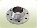 Steel Flanges