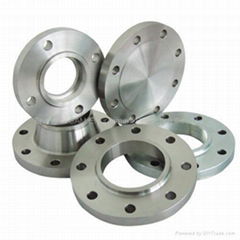 Steel Flanges