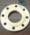 Stainless Steel Flanges