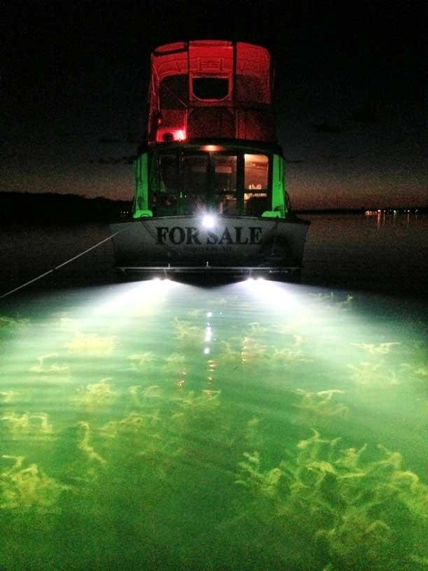 Underwater Thru-Hull (boat) xenon Light - 12-24V 35W55W 