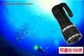 Digital LED diving flashlight