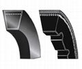 narrow v-belt