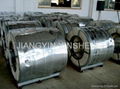  鍍鋅鋼帶HOT-DIP GALVANIZED STEEL COil 1