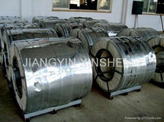  鍍鋅鋼帶HOT-DIP GALVANIZED STEEL COil