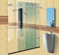 Frameless Shower Door enclosure hardware