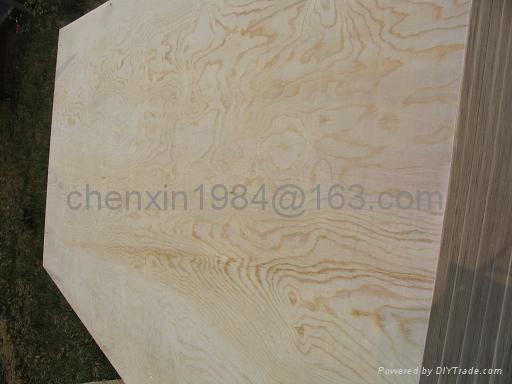 pine plywood 2