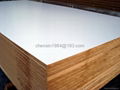 Melamine MDF