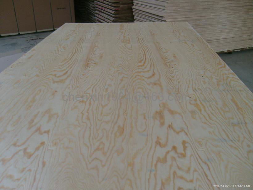 pine plywood