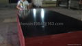 Black film faced plywood