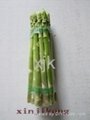 green fresh asparagus