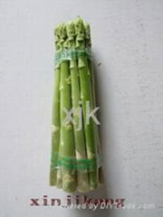 green fresh asparagus