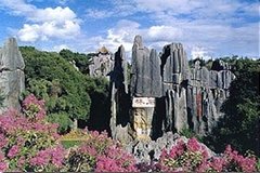 Stone Forest 1 day