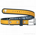 PVC dog collar 2