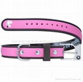 PVC dog collar 4