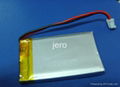 Lithium Polymer batteries