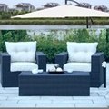 new style outdoor rattan sofa with 3pcs 3