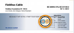 Fieldbus 多國認証 基金會總線