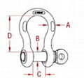 stainless steel US screw pin anchor shackle 2